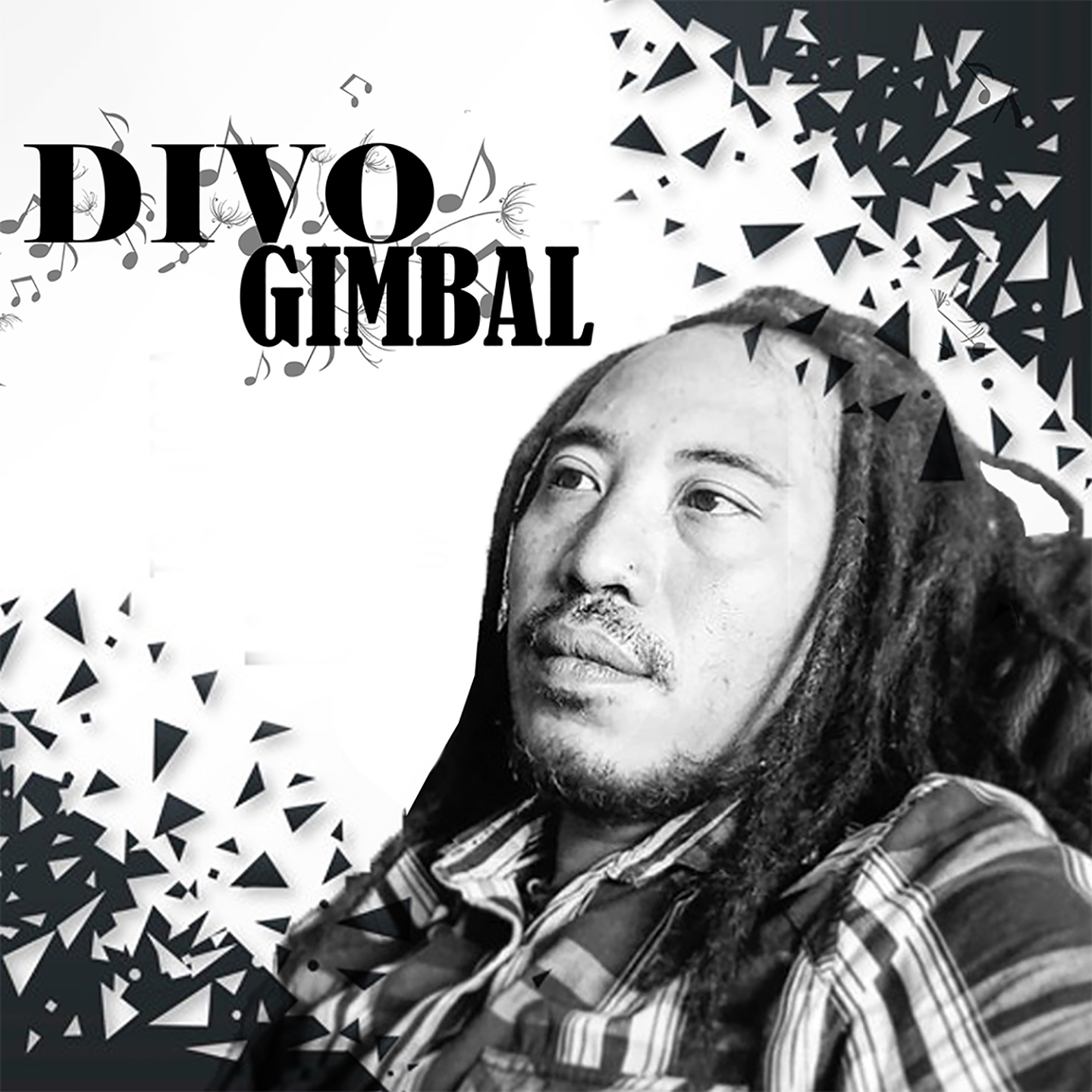 Divo Gimbal